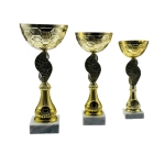 Κύπελλο C20003