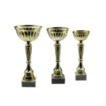 Κύπελλο C20005