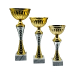 Κύπελλο C20010