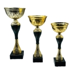 Κύπελλο C20011