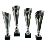 Κύπελλο C20012