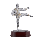 Τρόπαιο TREX01208 draft