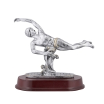 Τρόπαιο TREX01218 draft