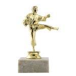 Τρόπαιο TR10036