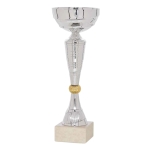 Κύπελλο C20023